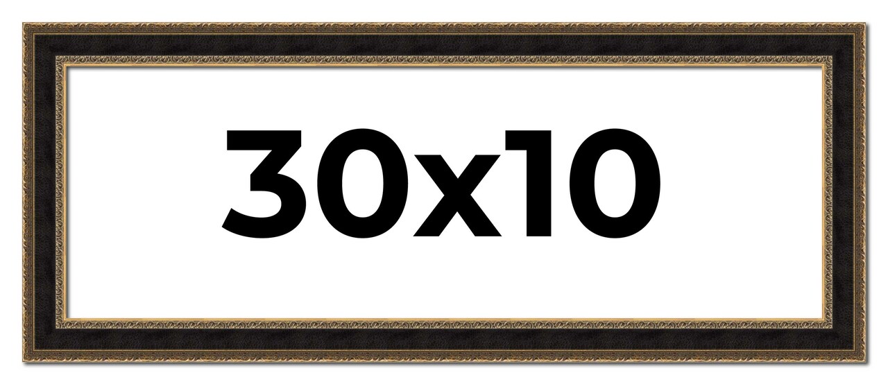 Panoramic Ornate Brown Picture Frame - UV Acrylic, Foam Board Backing, Hanging Hardware